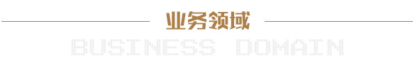 业务领域